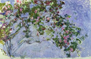 Las rosas, 1925-26 de Claude Monet